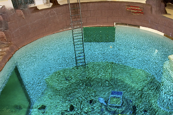 Indoor Diving Pool image