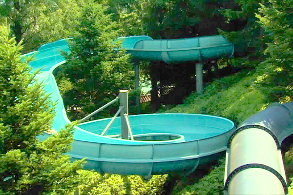 Wild Blaster image