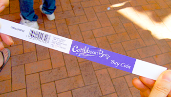 Purchase of bay coins