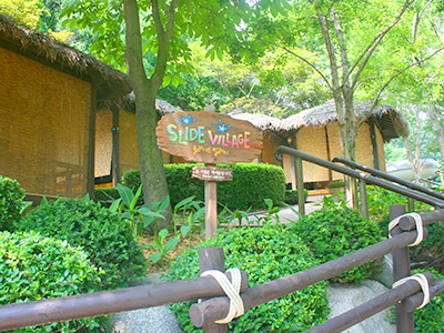 Slide Village