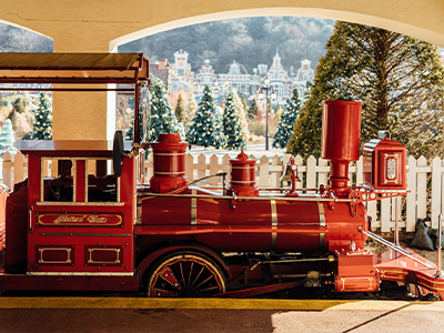 Festival Train