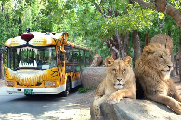 Safari World image