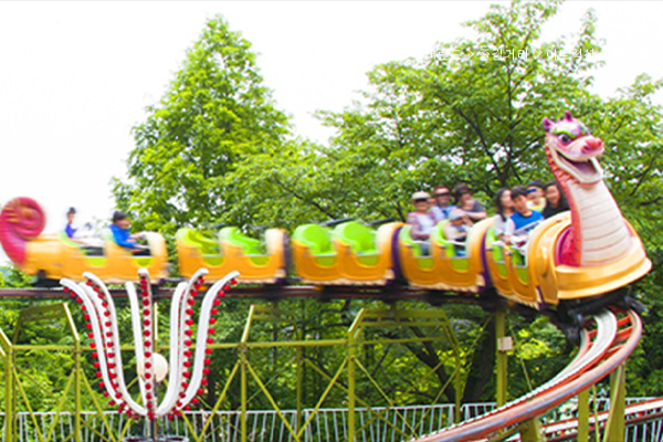 Dragon Coaster image
