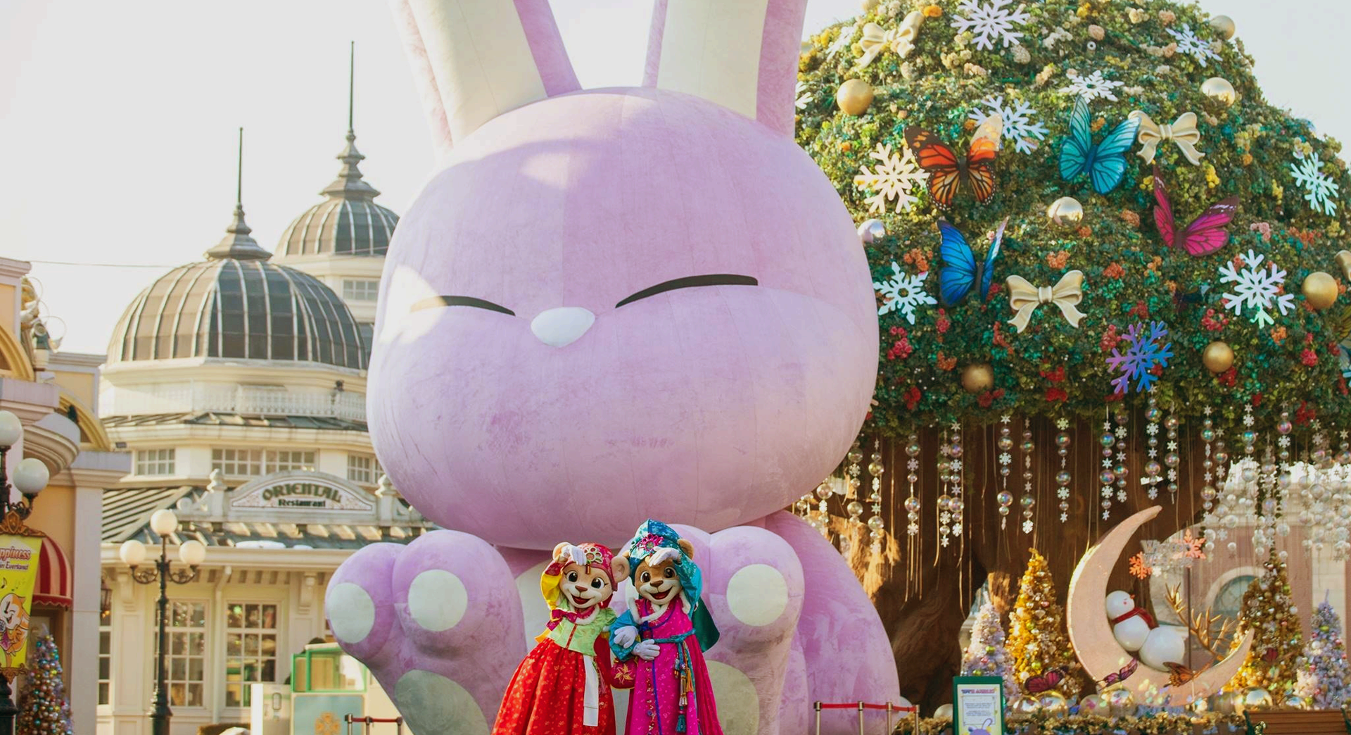 season calendar rabbit pictures