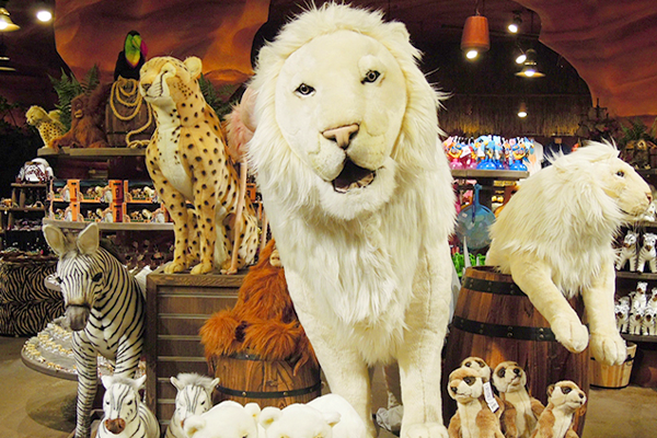 Lost Valley Gift Shop image