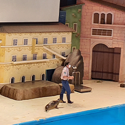 Sea Lion Village Animal Talk