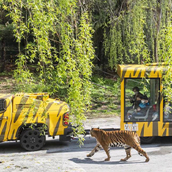 Safari World