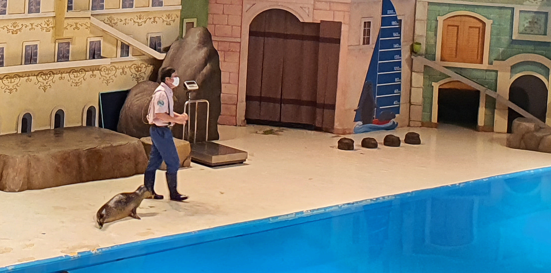 Sea Lion Village Animal Talk