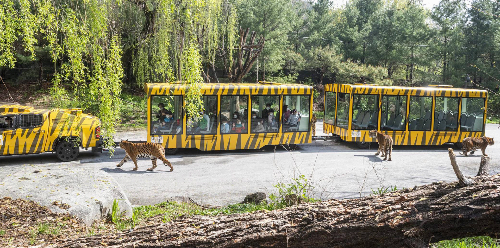 Safari World
