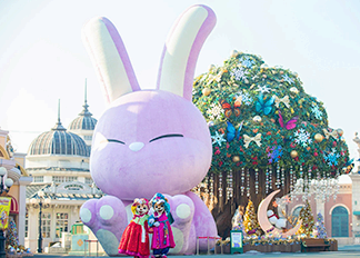 season calendar rabbit pictures
