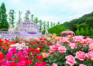 rose Festival